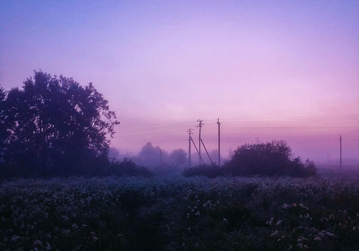 开云注册网址-CBA-王岚嵚22分莫兰德14+22+9 辽宁主场击退天津